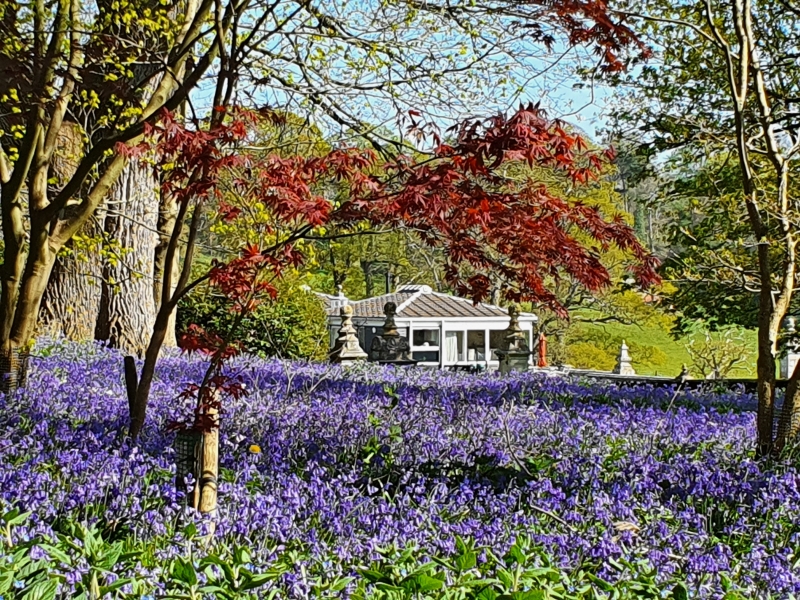Shobrooke Park Gardens